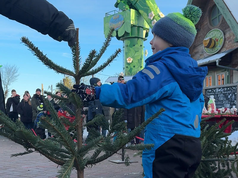 3. Tannenbaum Weitwurf Meisterschaft